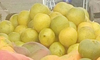 Lima limon