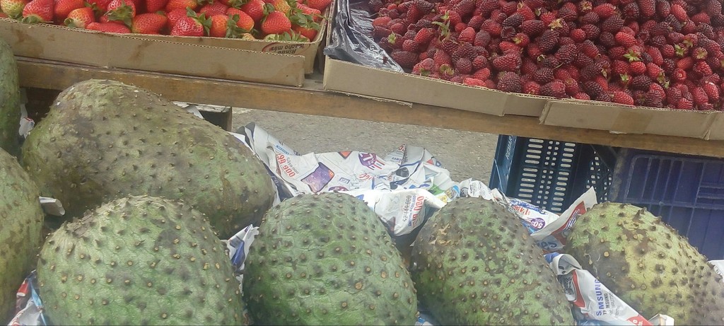 Guanabana