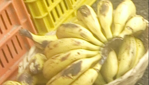Banano