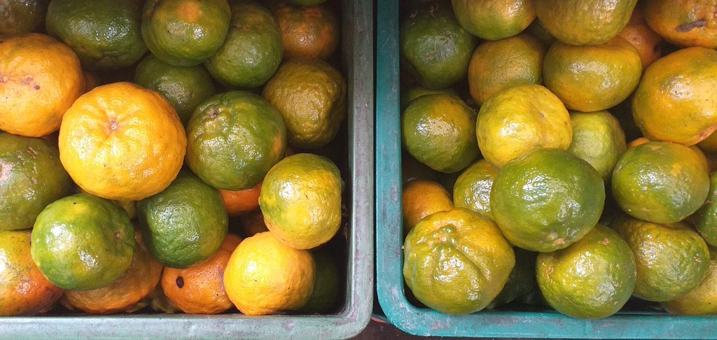 Mandarina oneca de 2da