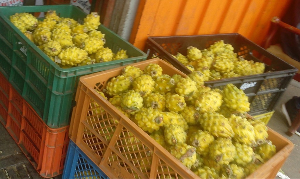 Pitaya