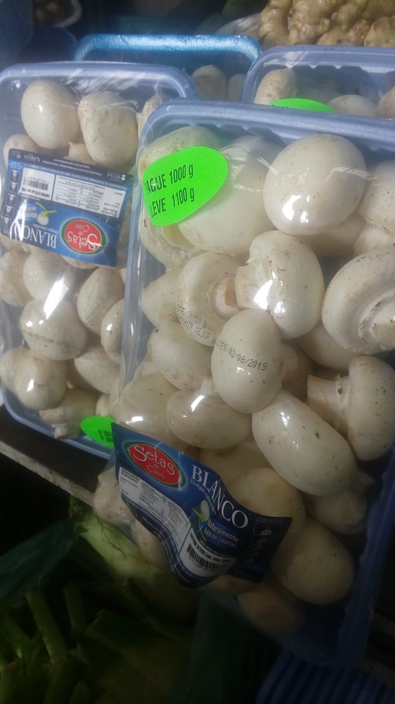 Champiñones