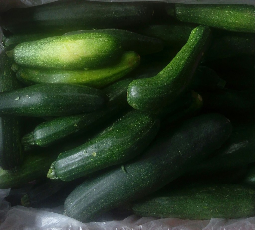 Zucchini verde