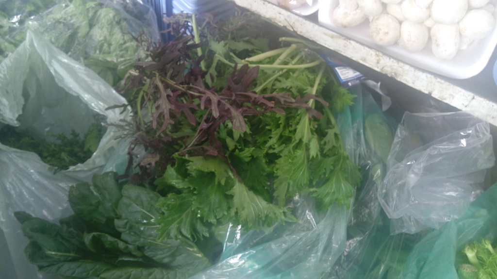 Lechuga asiatica