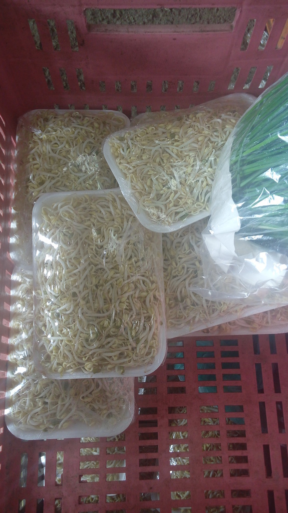 Raíces chinas