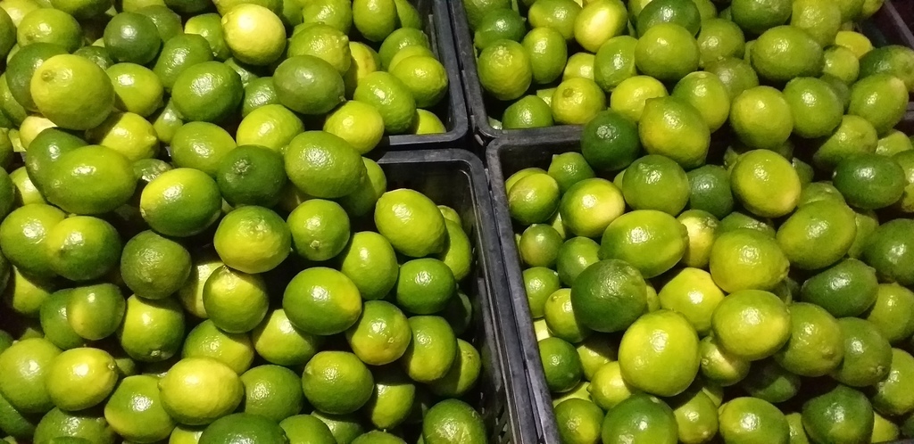 Limon tahiti