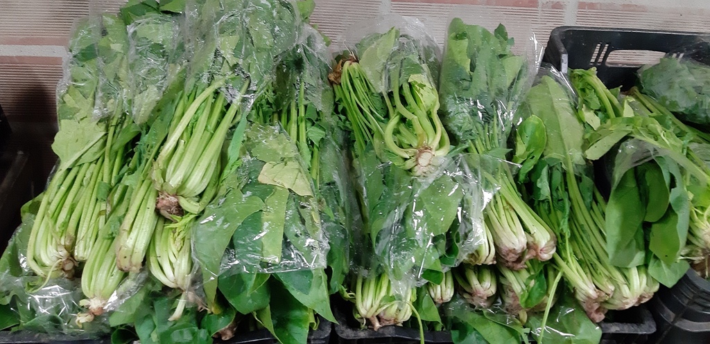 Espinaca bogotana.