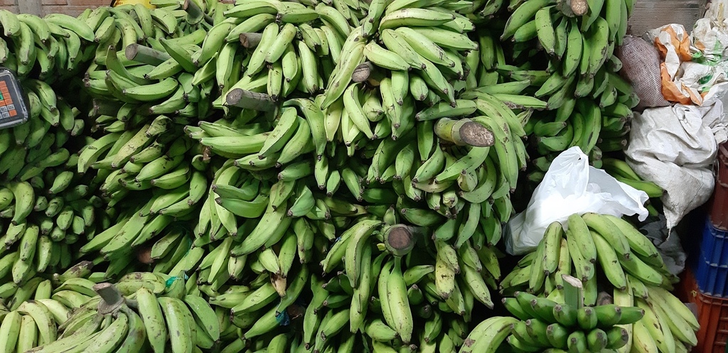 Plátano verde
