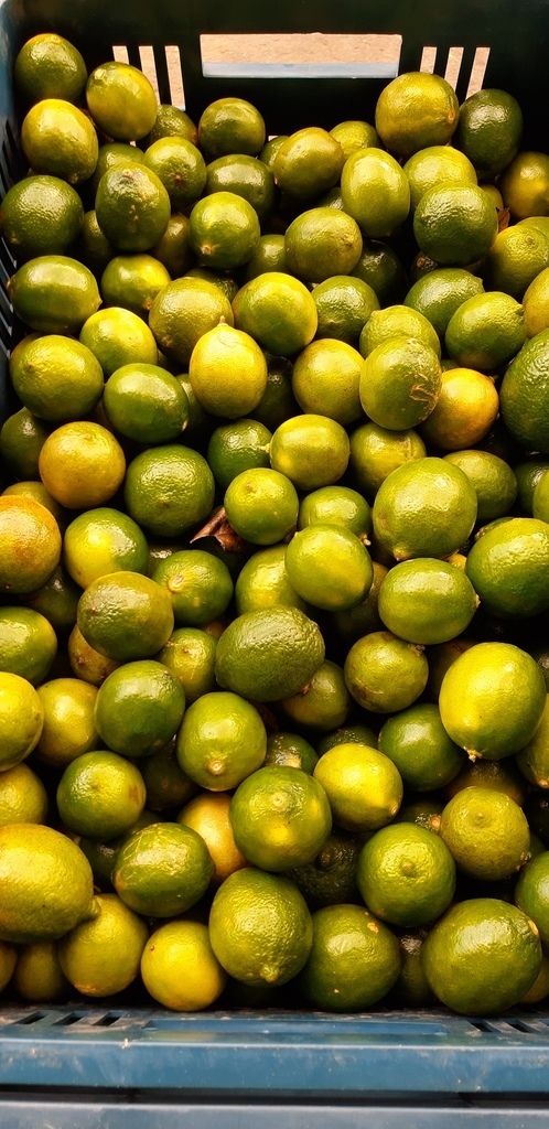 Limón Tahití.