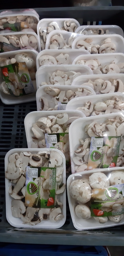 Champiñones/ por 500 gm