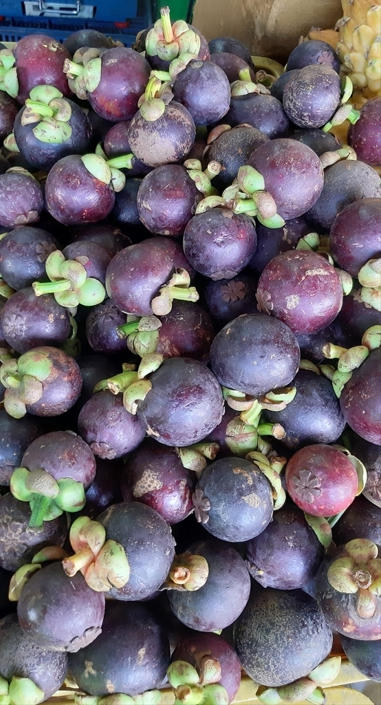 Mangostino