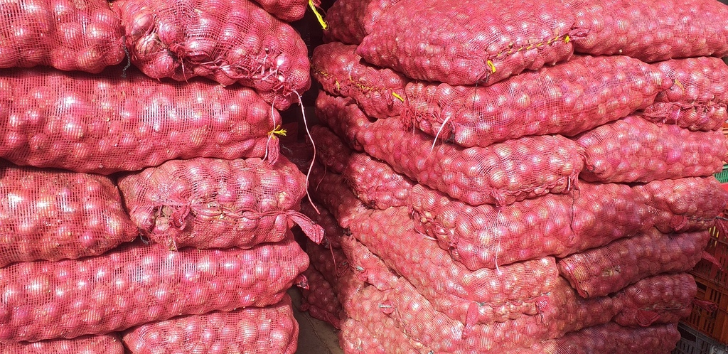 Cebolla ocañera *50kg