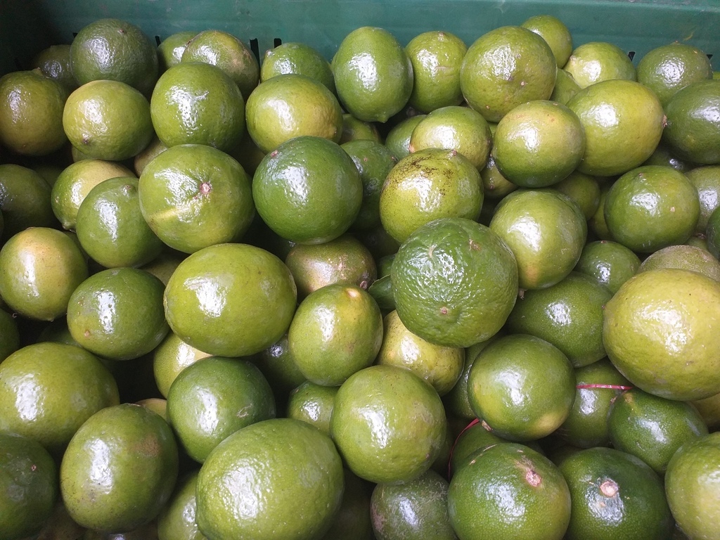 Limon tahiti