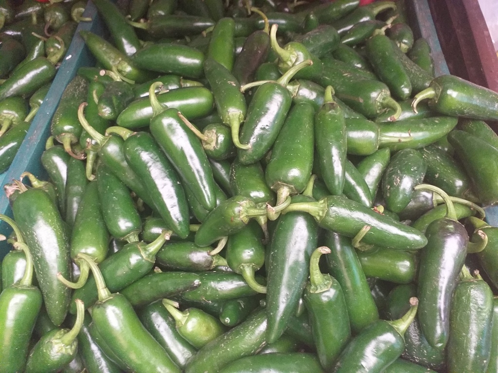 Aji jalapeño