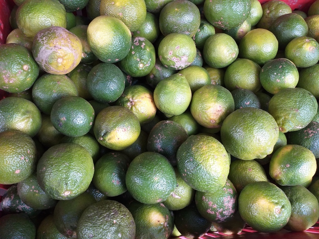 Limon tahiti