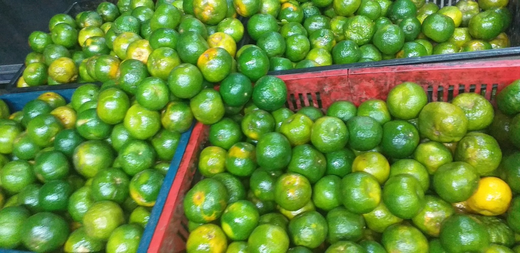 Mandarina oneca de 2da
