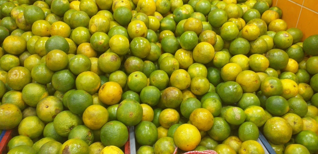 Naranja valencia