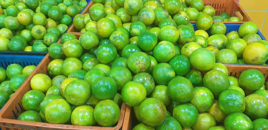 Naranja washington