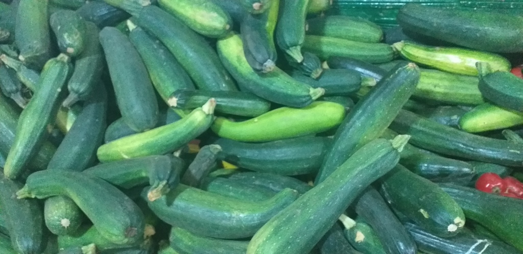 Zucchini
