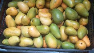 Mango ataulfo