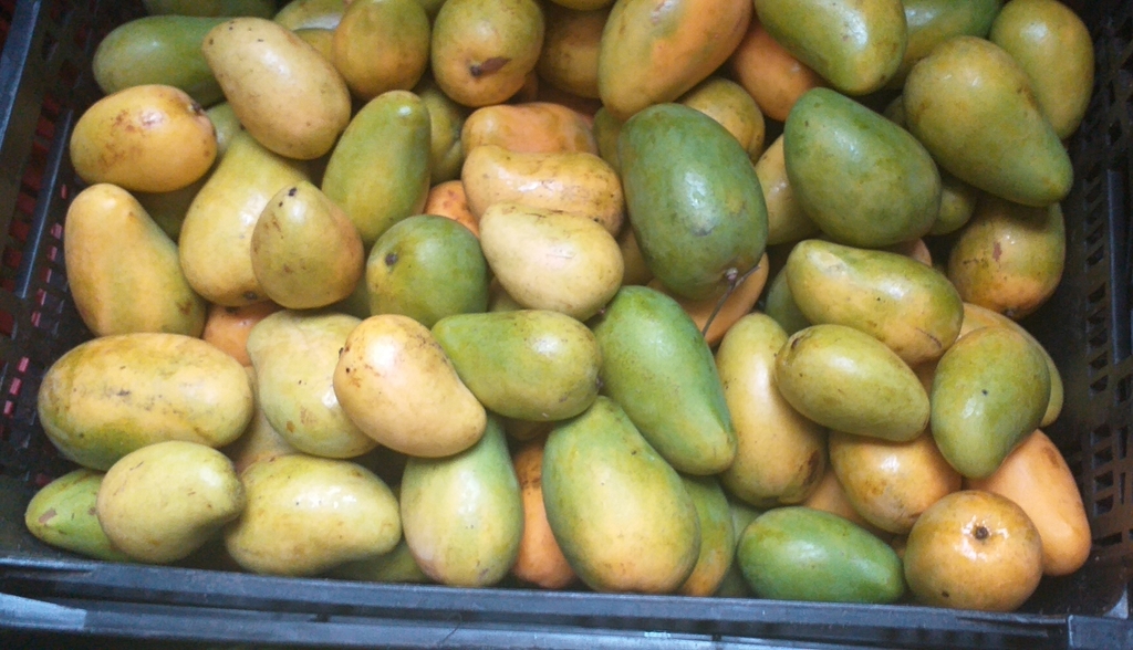 Mango ataulfo