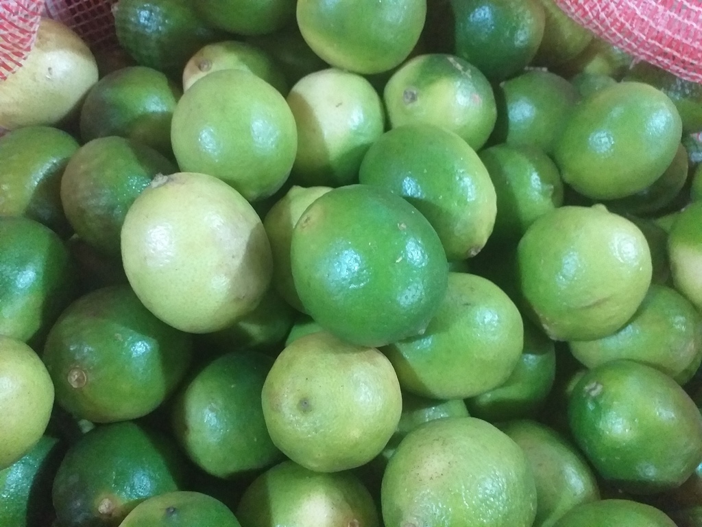 Limon tahiti