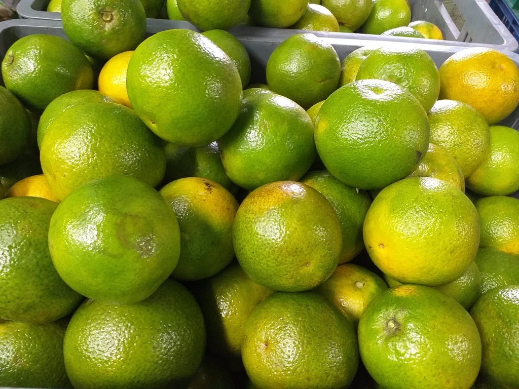 Naranja valencia