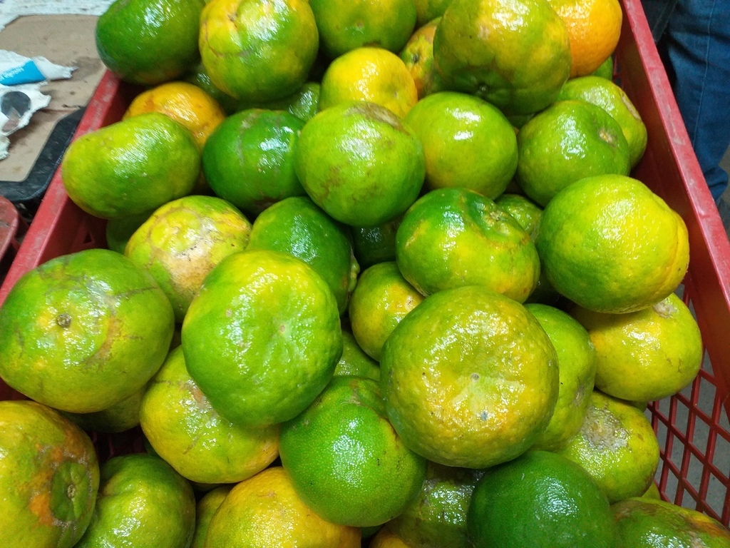 Mandarina