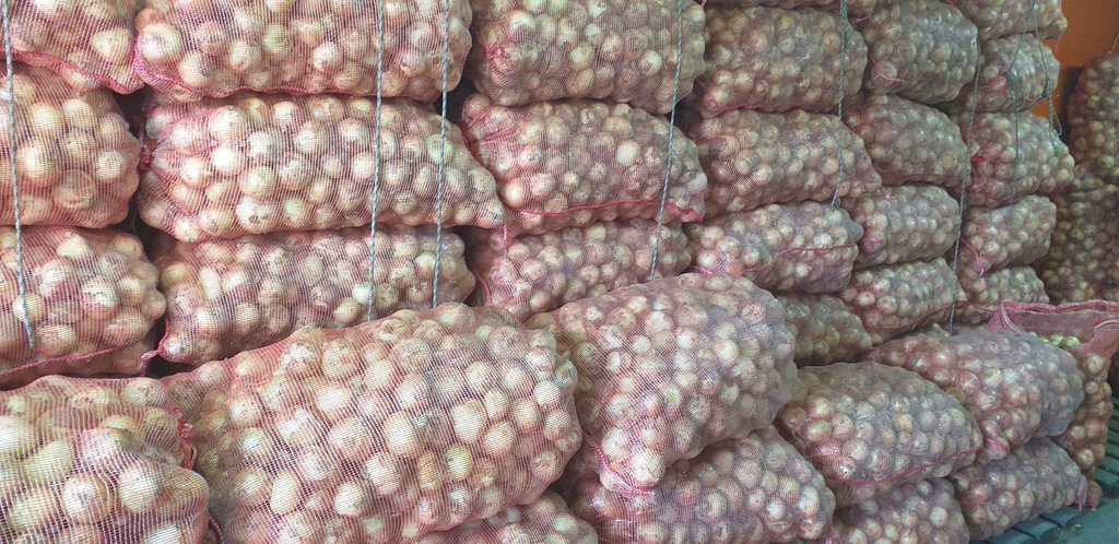 Cebolla blanca *48kg
