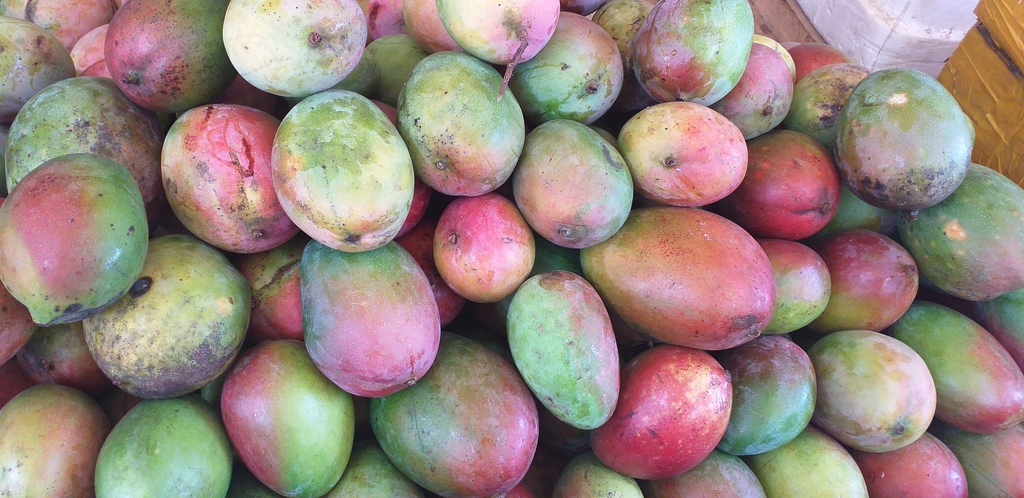 Mango farchi