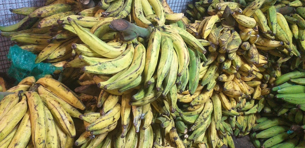 Platano maduro