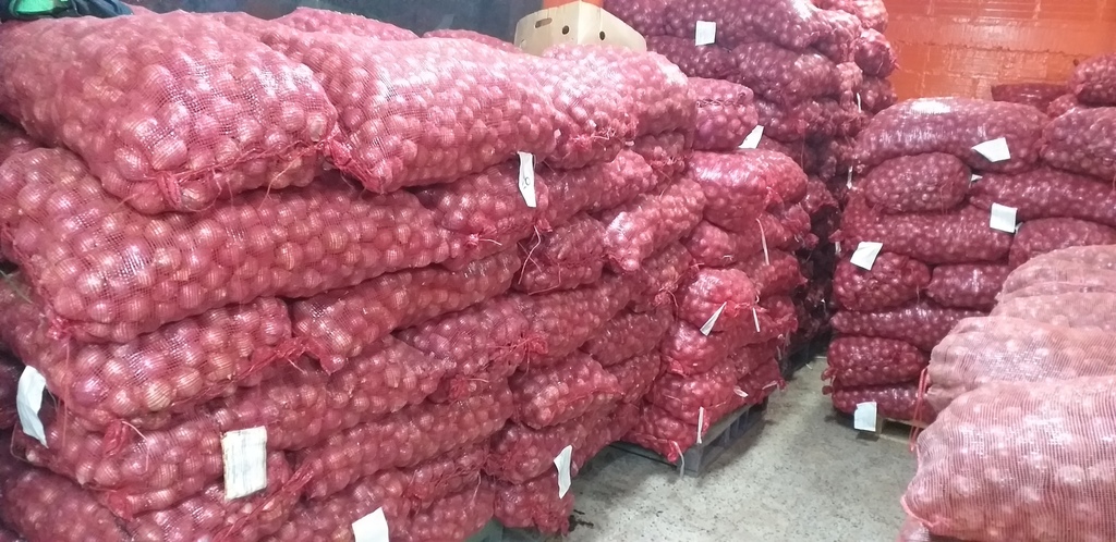 Cebolla roja peruana delgada
