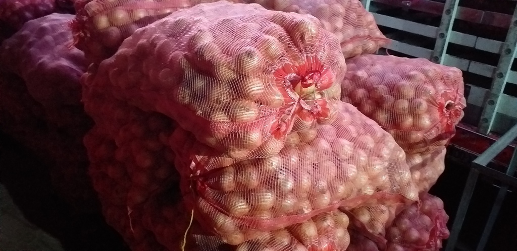 Cebolla blanca *48kg
