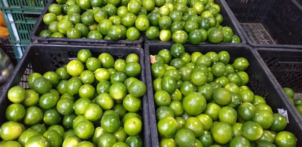 Limon tahiti delgado