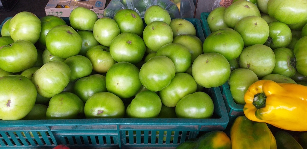 Tomate riñon