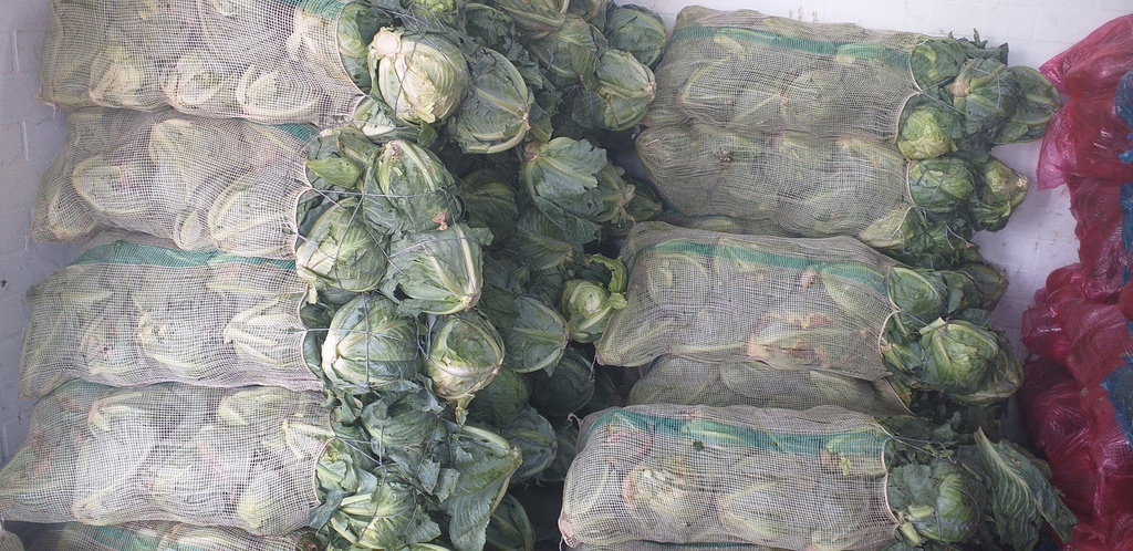Repollo antioqueño *60kg