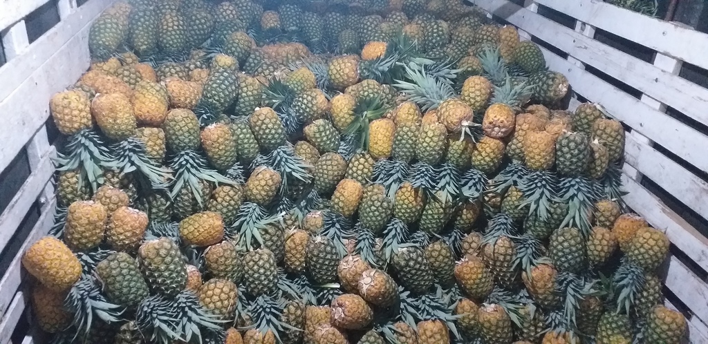 Piña oromiel