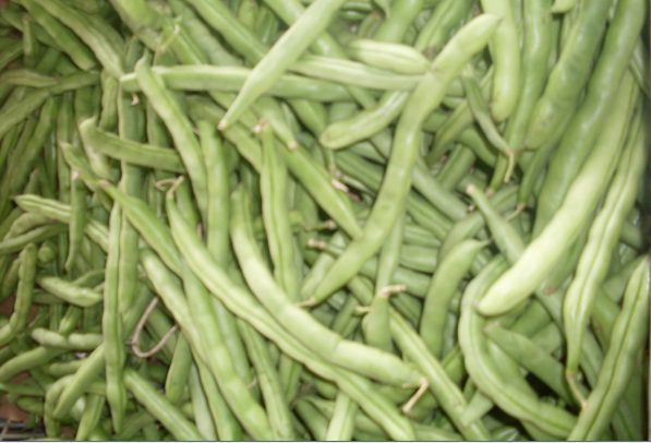 Habichuelas