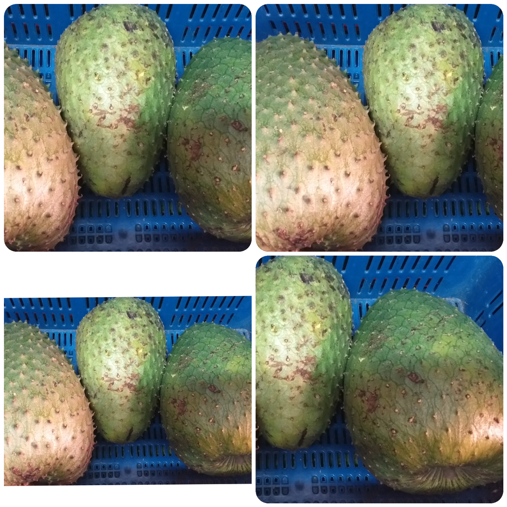 Guanabana