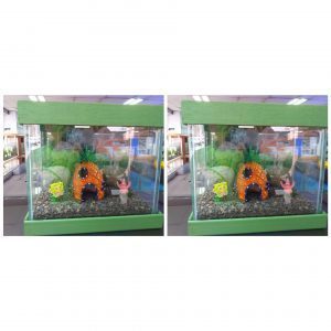 Pecera o acuario sencilla