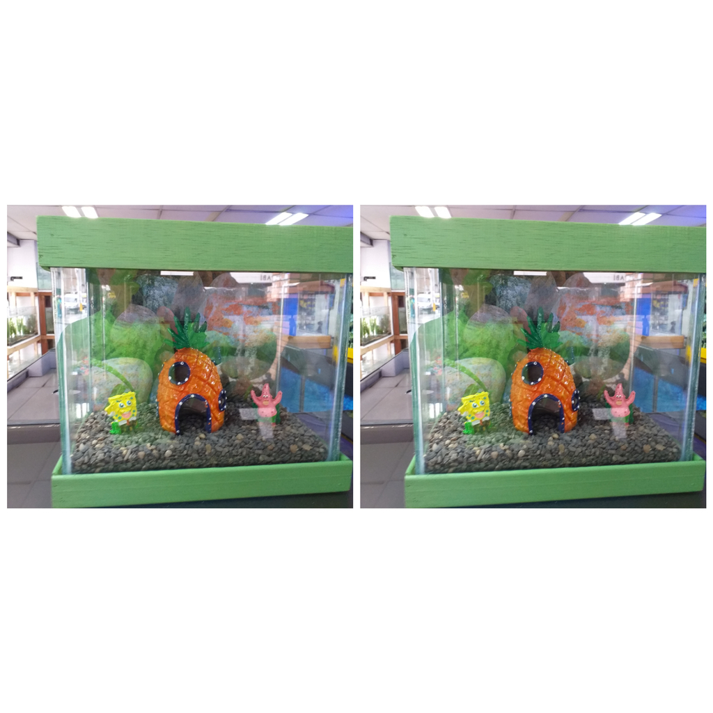 Pecera o acuario sencilla
