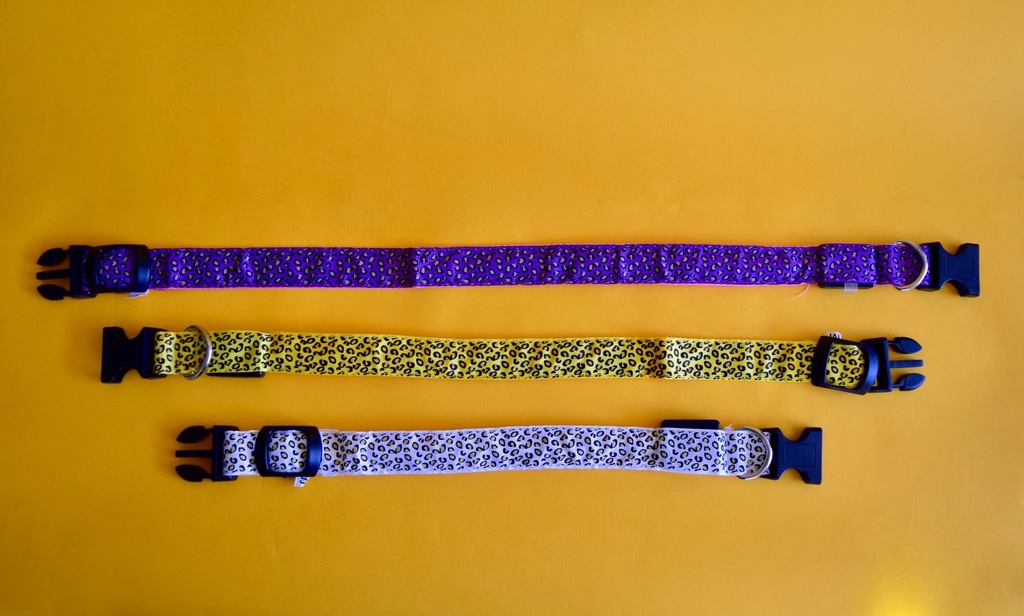 Collar LED para mascota