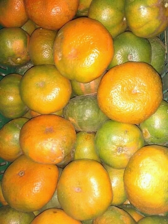 Mandarina