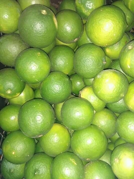 Limon de castilla