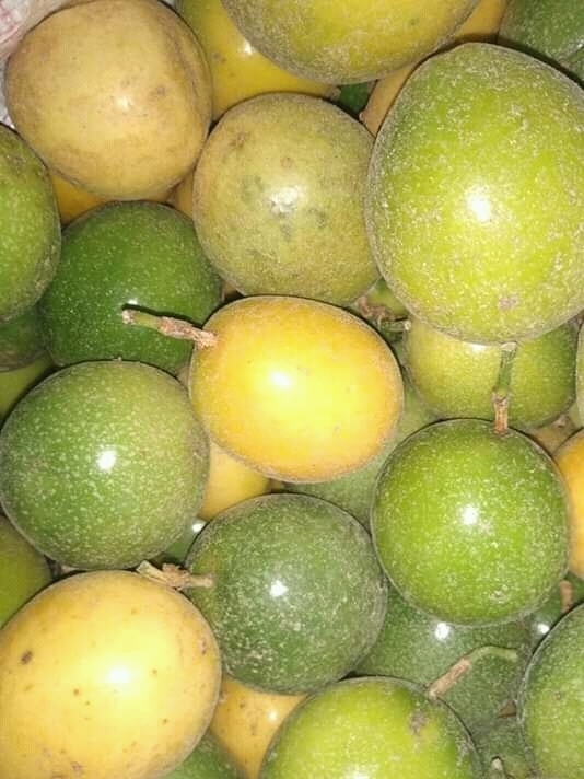 Granadilla