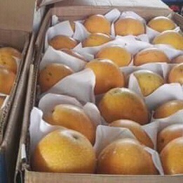Granadilla