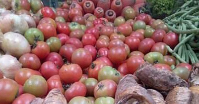 Tomate larga vida