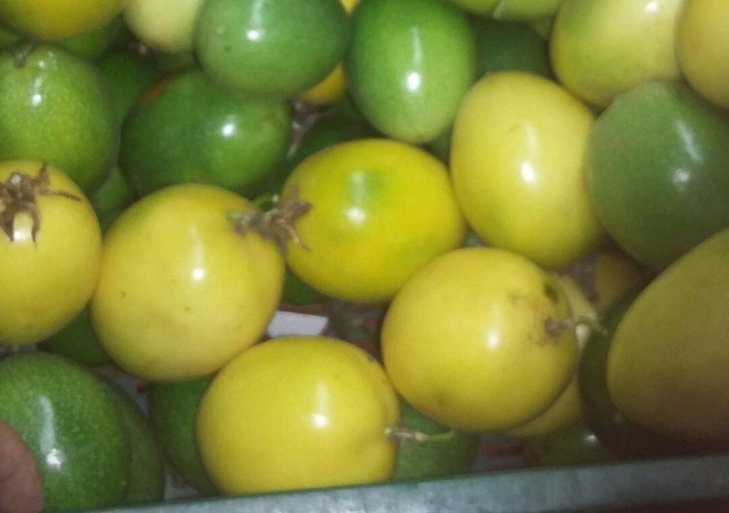 Maracuya