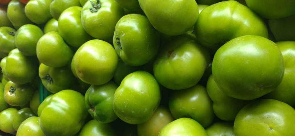 Tomate chonto verde