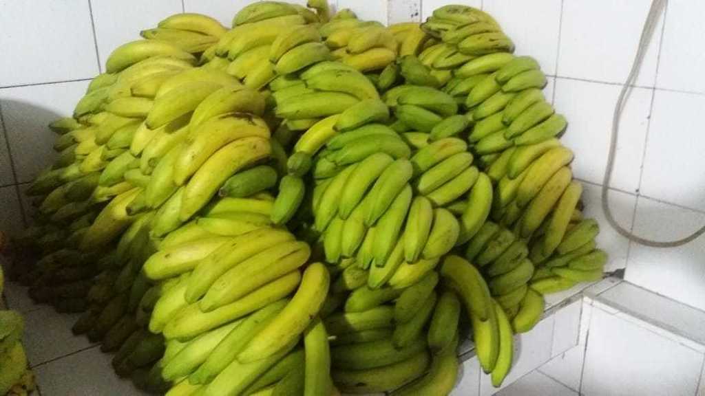Banano maduro